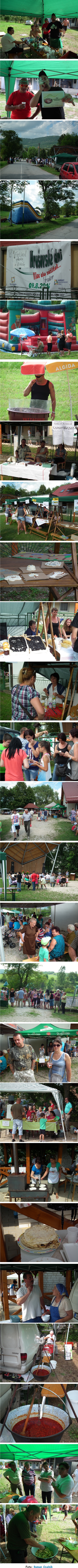 1. festival pálenky a slivky v obci Hrušov