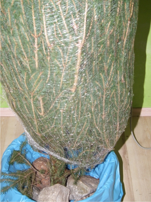 vianočný stromček v stojane