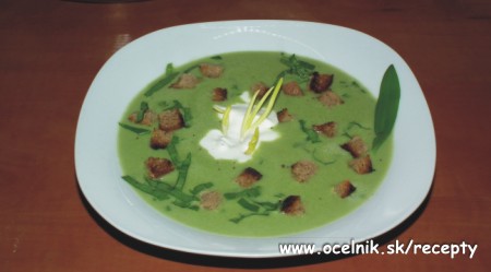 medvedí cesnak - polievka
